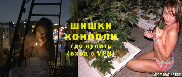 spice Алзамай