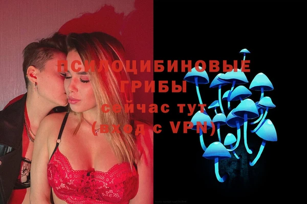 spice Алзамай